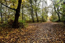 DSC_0066.JPG DSC_0066.JPG