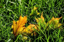 DSC_0002.JPG DSC_0002.JPG