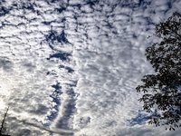 IMG_0533.jpg