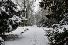 DSC_0251.JPG