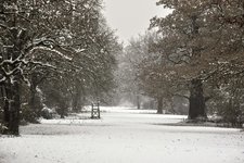 DSC_0212.JPG