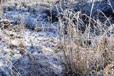 DSC_0134.JPG