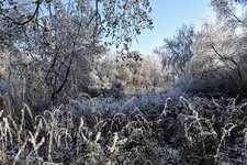 DSC_0207.JPG