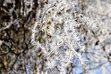 DSC_0161.JPG