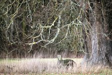 DSC_0113.JPG