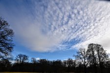 DSC_0096.JPG