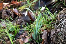 DSC_0040.JPG DSC_0040.JPG