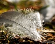DSC_0034.JPG DSC_0034.JPG