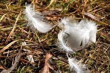 DSC_0038.JPG DSC_0038.JPG