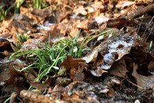 DSC_0069.JPG