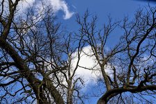 DSC_0132.JPG