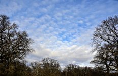 DSC_0097.JPG