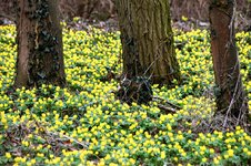 DSC_0069.JPG DSC_0069.JPG