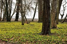 DSC_0023.JPG DSC_0023.JPG