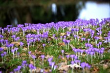 DSC_0214.JPG DSC_0214.JPG