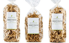 insect-pasta-dm-z-plumentofoods-190122-640x400.jpg insect-pasta-dm-z-plumentofoods-190122-640x400.jpg