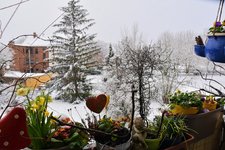 DSC_0016.JPG DSC_0016.JPG