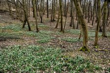 DSC_0284.JPG