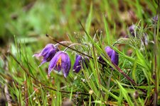 DSC_0101.JPG