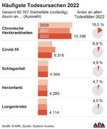 1715506_body_634408_haeufigste_todesursachen_2022_2.jpg