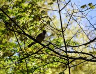 DSC_0166.JPG DSC_0166.JPG