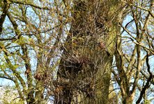 DSC_0093.JPG DSC_0093.JPG