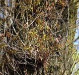 DSC_0110.JPG DSC_0110.JPG