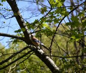 DSC_0161.JPG DSC_0161.JPG
