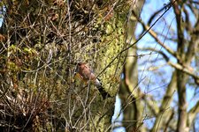 DSC_0092.JPG DSC_0092.JPG