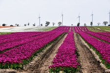DSC_0084.JPG DSC_0084.JPG