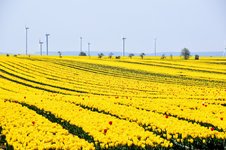 DSC_0002.JPG DSC_0002.JPG