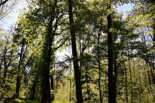DSC_0425.JPG