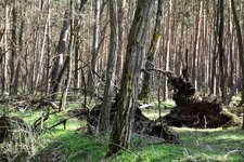 DSC_0206.JPG