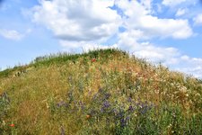 DSC_0062.JPG DSC_0062.JPG