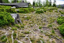 DSC_0199.JPG DSC_0199.JPG