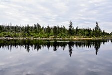 DSC_0200.JPG DSC_0200.JPG
