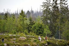 DSC_0295.JPG DSC_0295.JPG