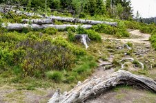 DSC_0207.JPG DSC_0207.JPG