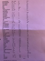 IMG_3833.jpeg