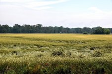 DSC_0138.JPG DSC_0138.JPG