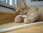 mai 05 047.jpg