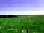 Natur4.jpg