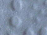 x 016.jpg