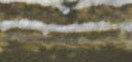 upps1.jpg