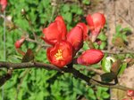 IMG_0250.jpg