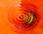 mohn-m2.jpg