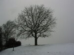 IMAG0390.JPG