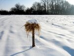 IMG_0837.jpg