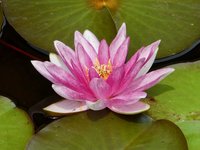 klein_ - 6 (104).jpg