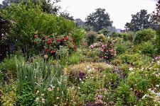 DSC_0049.JPG DSC_0049.JPG